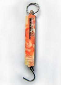 A spring scale.