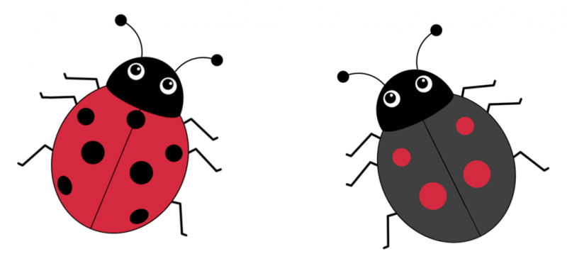 Ladybirds in the Garden