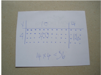 Exploring fractions