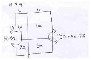 Exploring fractions
