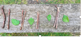 Developing Pattern Awareness with Young Children