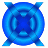 X marks the spot