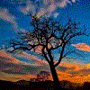 Network Trees