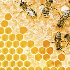 Regular Hexagon Loops