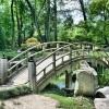 A Curious Collection of Bridges