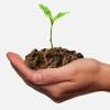 Getting \into and staying in the Growth Zone