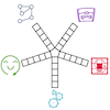 The NRICH rope model