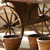 Magic potting sheds