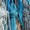 All tangled up