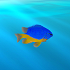 Sea Level