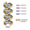 The genes of Gilgamesh