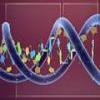 Is your DNA unique?