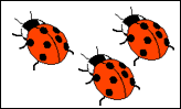 Ladybird Count