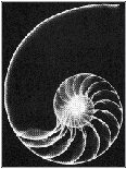 Leonardo of Pisa and the Golden Rectangle